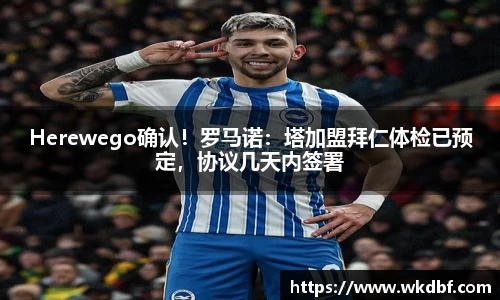 杏耀登录